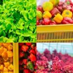 460959910_122172085064158224_1730126028929348658_n 460959910_122172085064158224_1730126028929348658_n